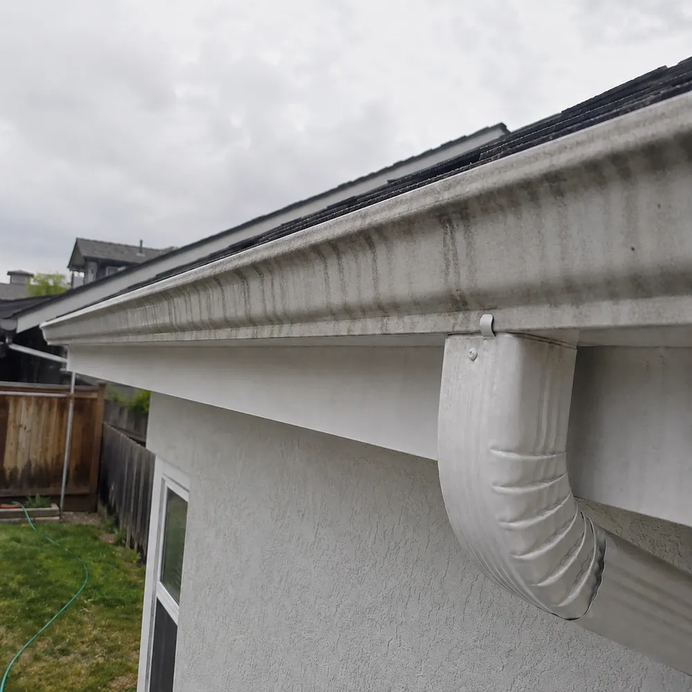 Soft washing — before